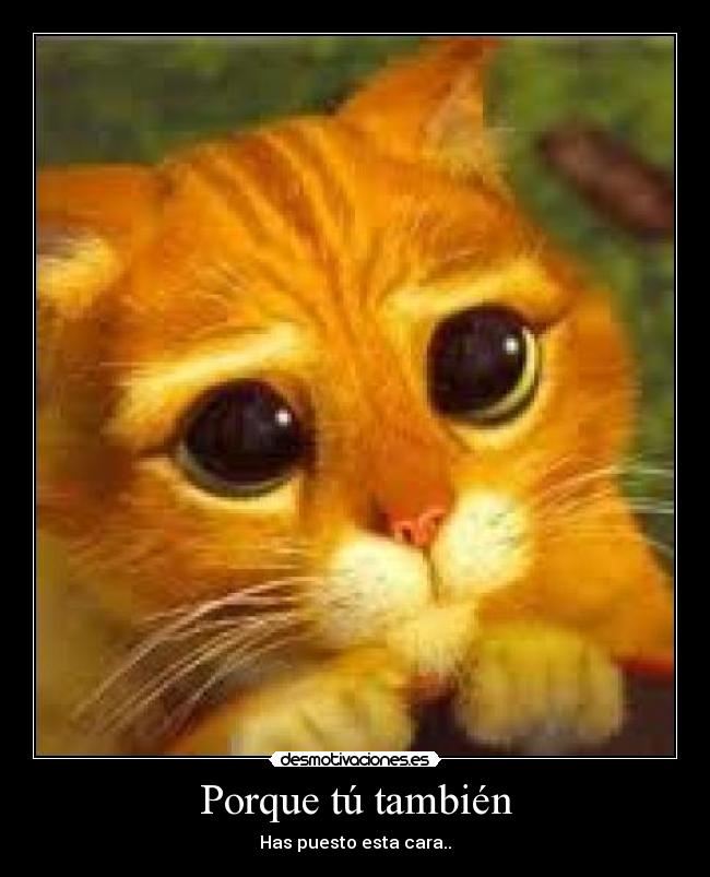 Porque tú también - Has puesto esta cara..