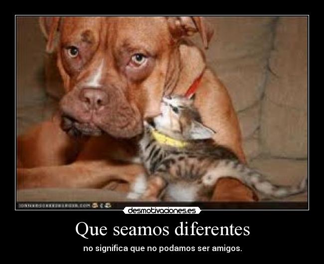 Que seamos diferentes - no significa que no podamos ser amigos.
