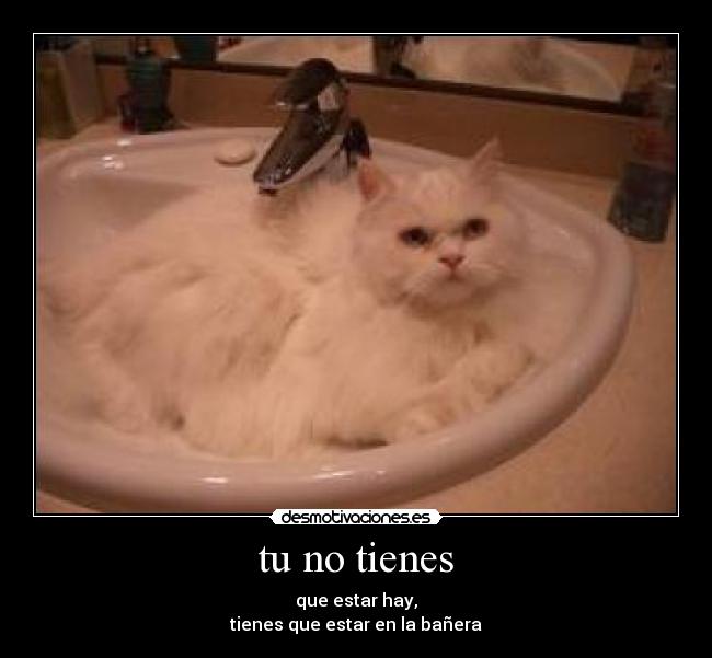 tu no tienes - que estar hay,
tienes que estar en la bañera