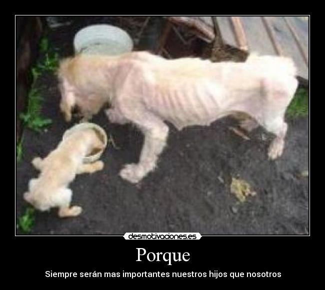 Porque - Siempre serán mas importantes nuestros hijos que nosotros