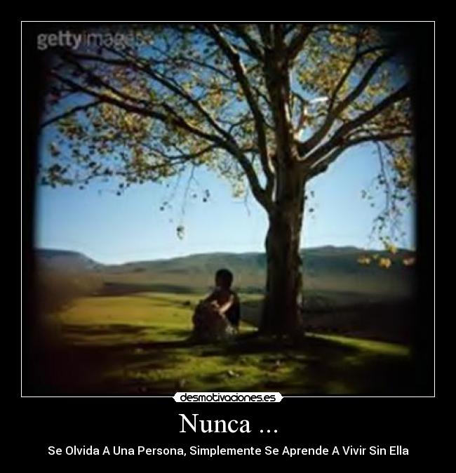 Nunca ... - 