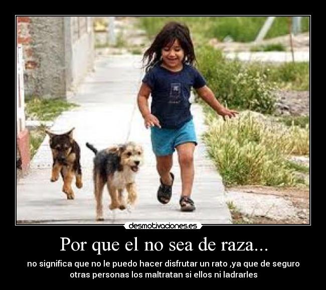 Por que el no sea de raza... -
