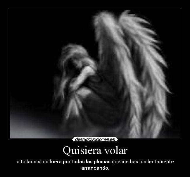 Quisiera volar - a tu lado si no fuera por todas las plumas que me has ido lentamente arrancando.