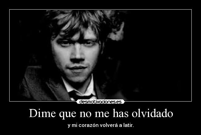 carteles rupert grint novieteeee majisiiiiiimo desmotivaciones