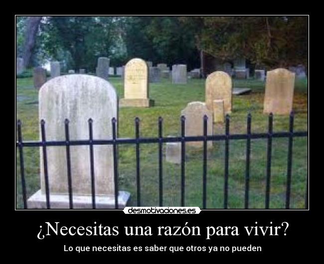 ¿Necesitas una razón para vivir? -