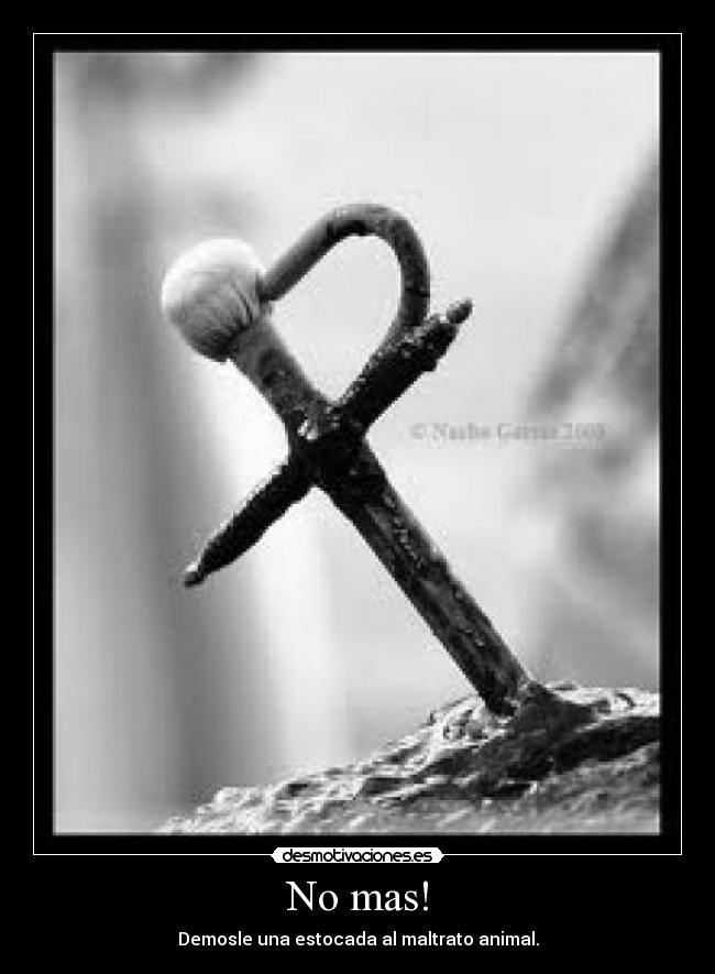 No mas! - Demosle una estocada al maltrato animal.