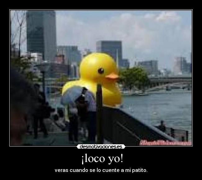 ¡loco yo! -