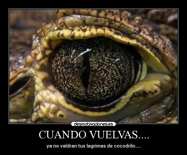 CUANDO VUELVAS.... -