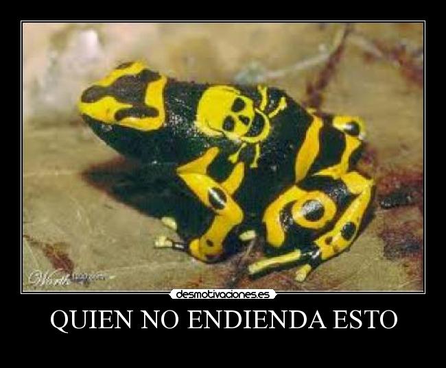 QUIEN NO ENDIENDA ESTO -