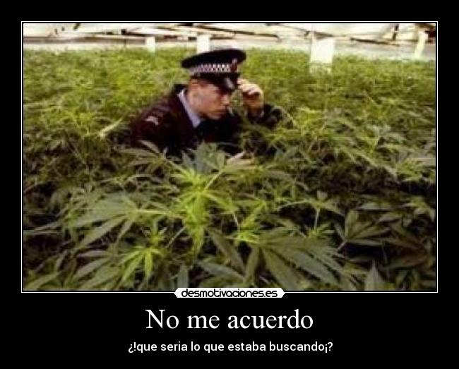 No me acuerdo -
