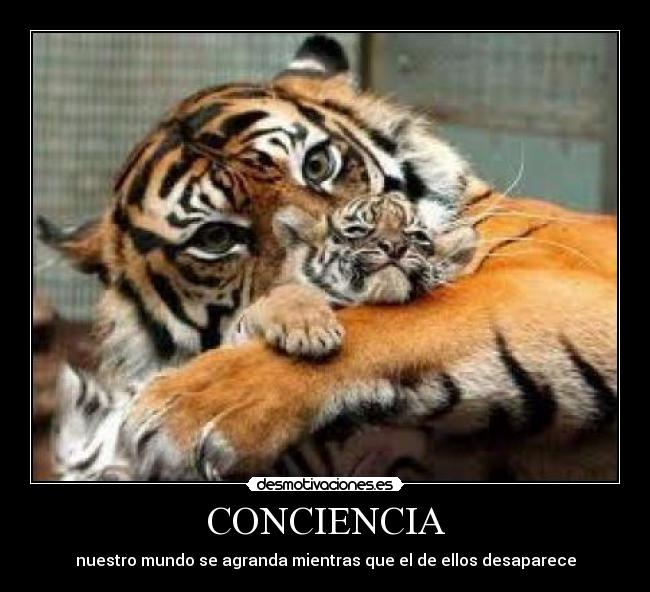 CONCIENCIA -