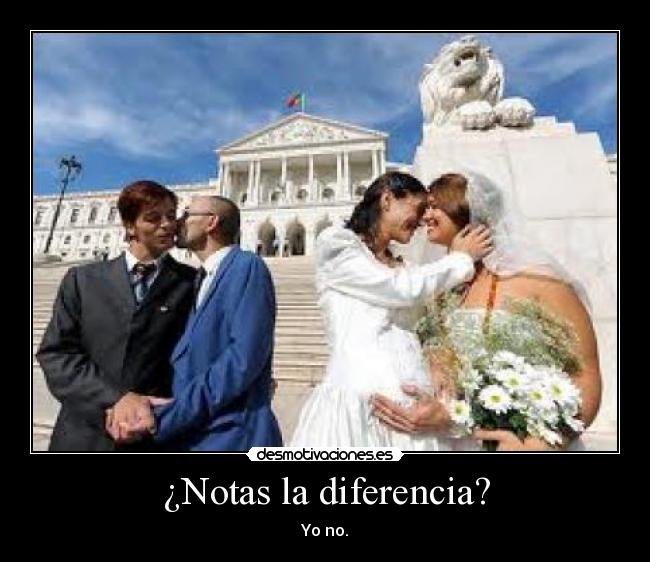 ¿Notas la diferencia? - Yo no.