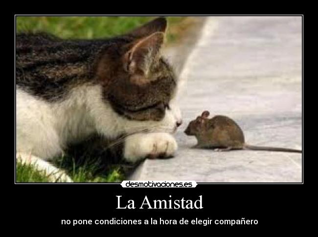 La Amistad -