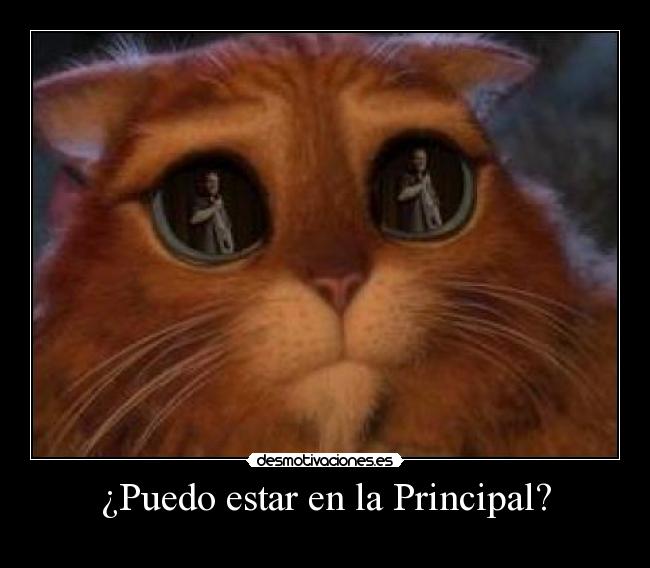 ¿Puedo estar en la Principal? -