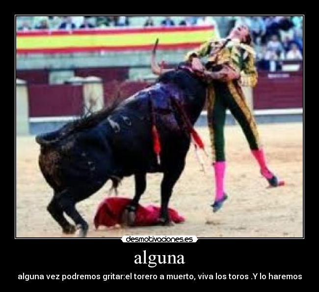 alguna - alguna vez podremos gritar:el torero a muerto, viva los toros .Y lo haremos