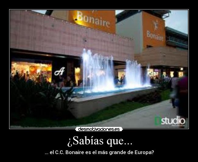 carteles olaa desmotivaciones