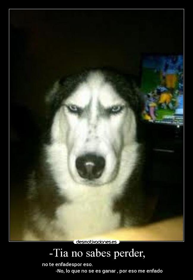 -Tia no sabes perder, - no te enfadespor eso.                                                 
                     -No, lo que no se es ganar , por eso me enfado