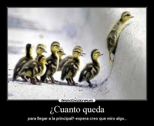 ¿Cuanto queda - para llegar a la principal?-espera creo que miro algo...