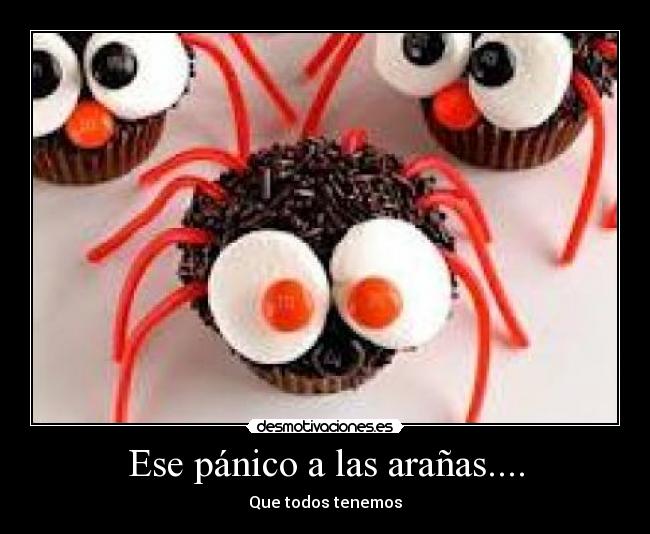 carteles sister18 desmotivaciones