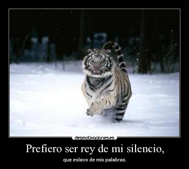 Prefiero ser rey de mi silencio, -