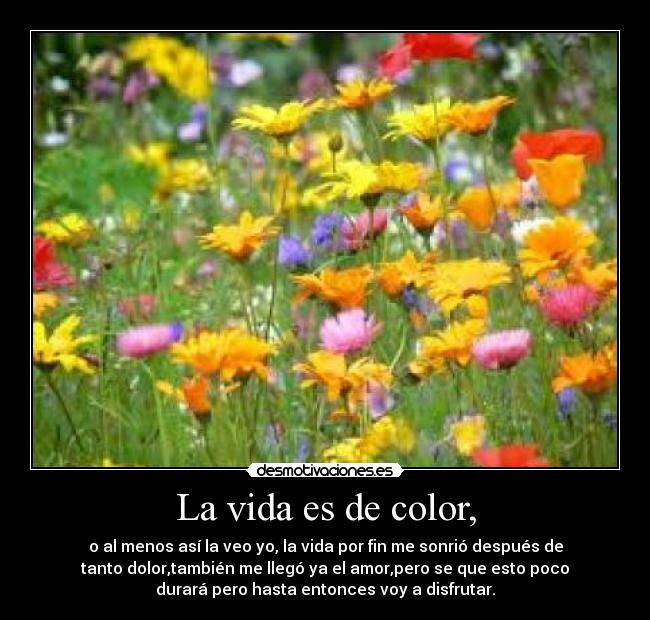 La vida es de color, - o al menos así la veo yo, la vida por fin me sonrió después de
tanto dolor,también me llegó ya el amor,pero se que esto poco
durará pero hasta entonces voy a disfrutar.