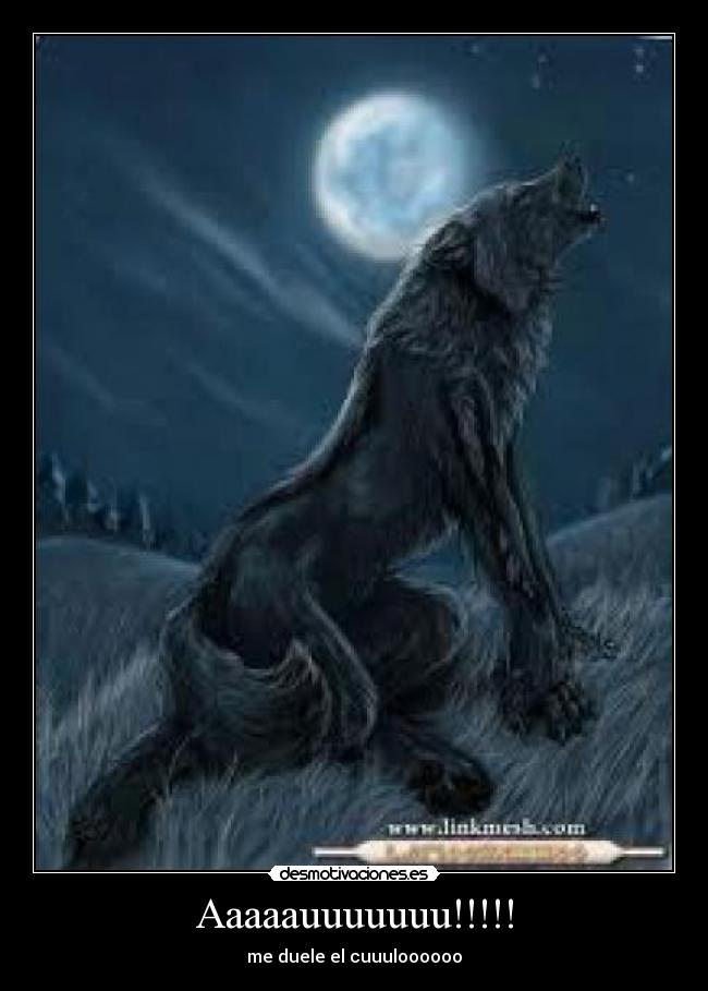 Aaaaauuuuuuu!!!!! - me duele el cuuuloooooo