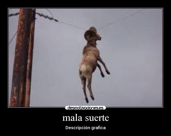 mala suerte - Descripción grafica