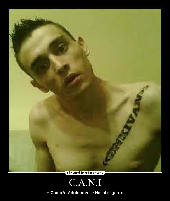 C.A.N.I - 