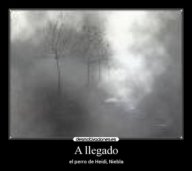 A llegado -