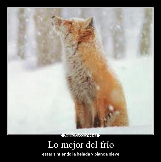 Lo mejor del frío - estar sintiendo la helada y blanca nieve