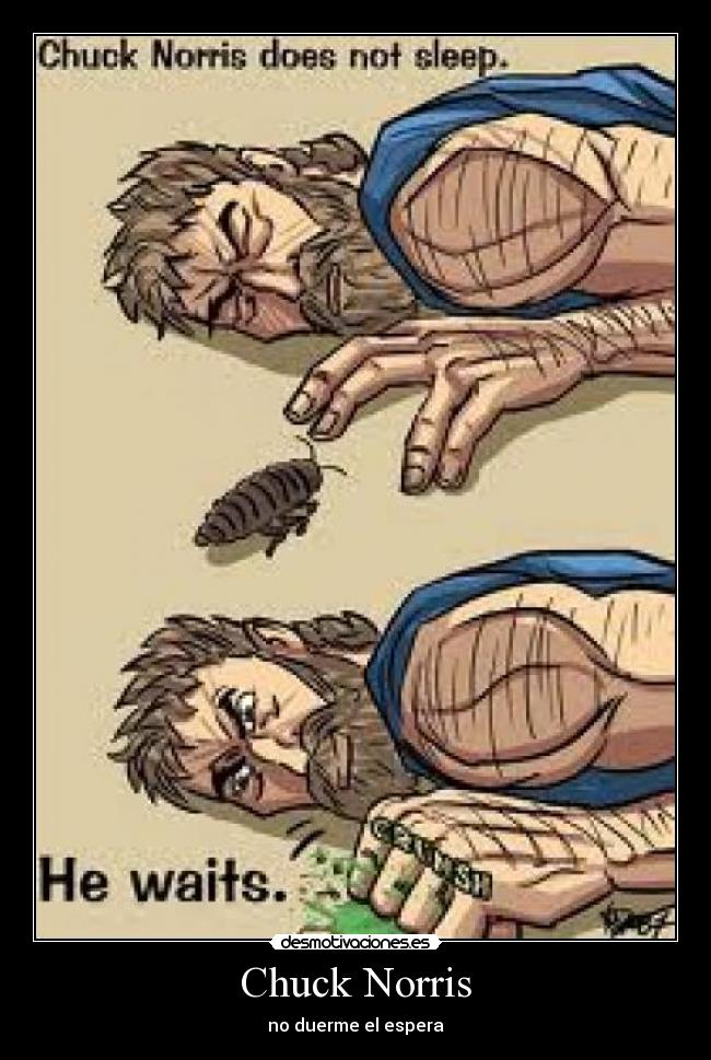 Chuck Norris - no duerme el espera
