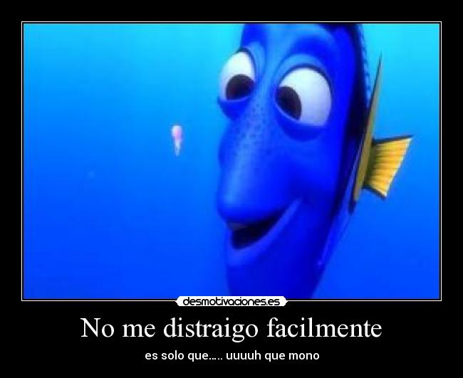 No me distraigo facilmente -