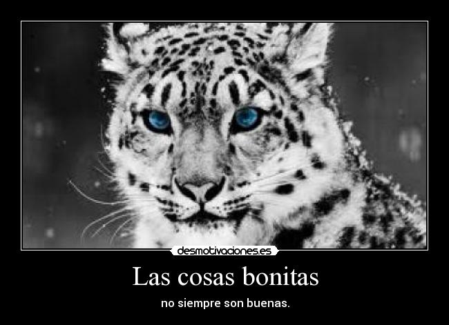 Las cosas bonitas - no siempre son buenas.