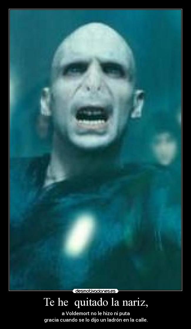 carteles voldemort desmotivaciones