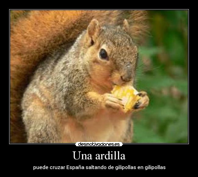Una ardilla - puede cruzar España saltando de gilipollas en gilipollas