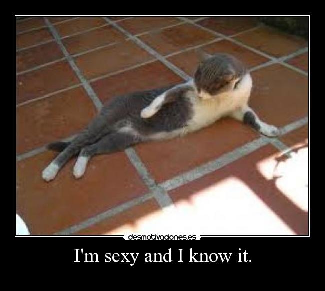 Im sexy and I know it. - 