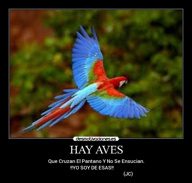 carteles desmotivaciones