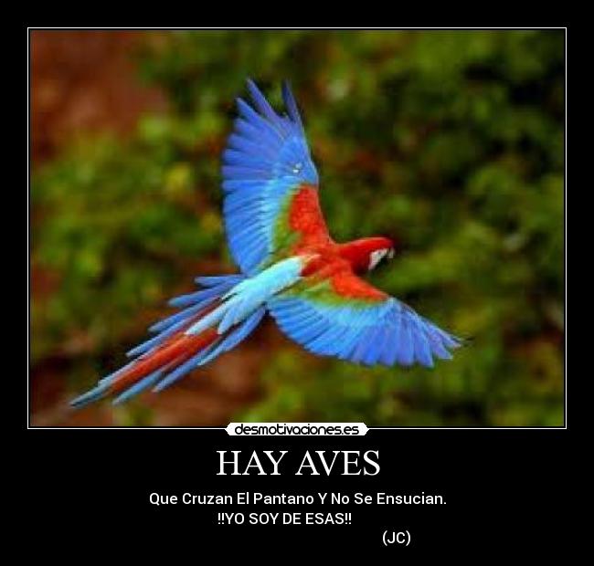 HAY AVES - Que Cruzan El Pantano Y No Se Ensucian.
!!YO SOY DE ESAS!!       
                                                      (JC)