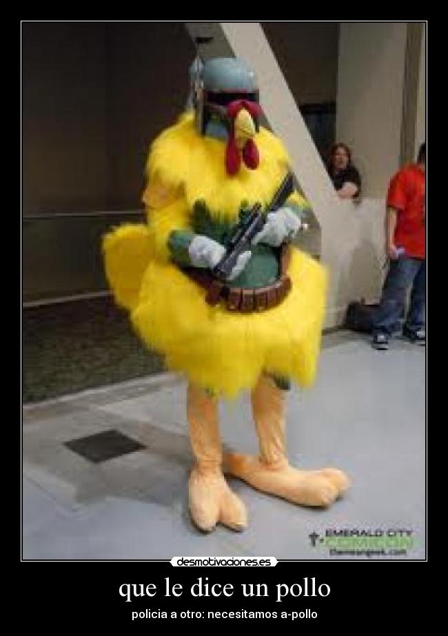 que le dice un pollo -