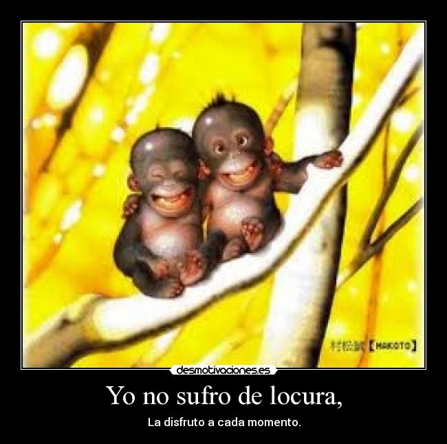 Yo no sufro de locura, -