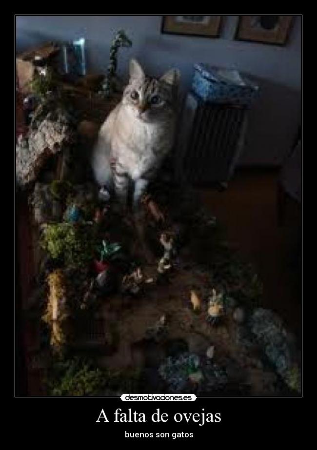 A falta de ovejas - buenos son gatos