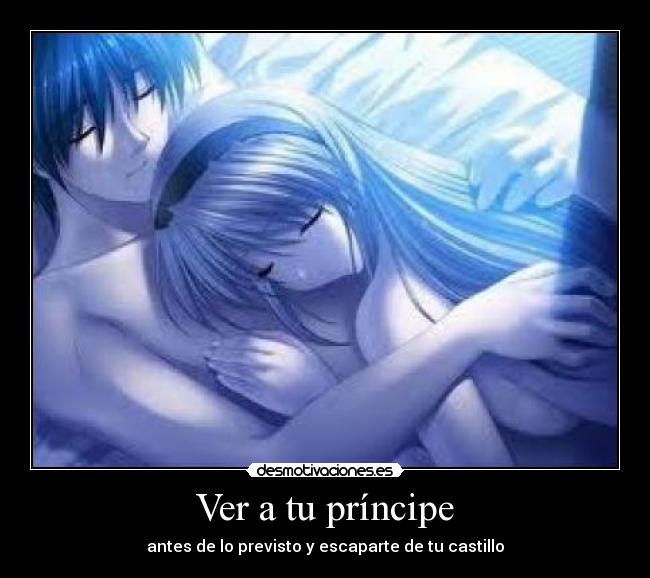 carteles principe desmotivaciones