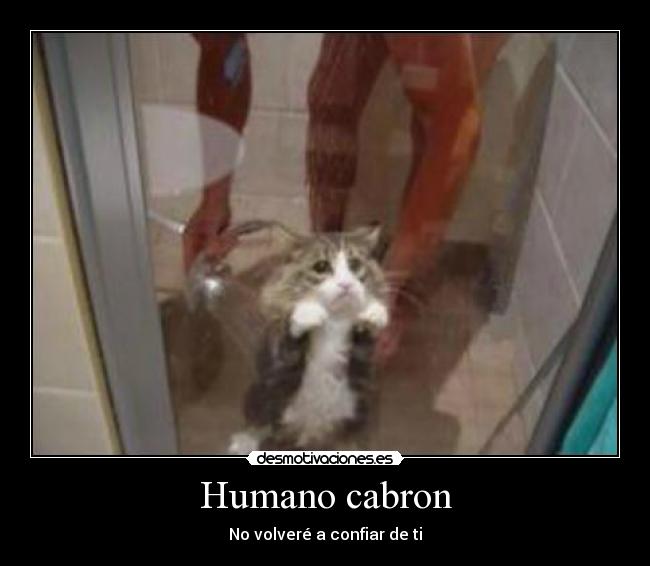 Humano cabron - No volveré a confiar de ti