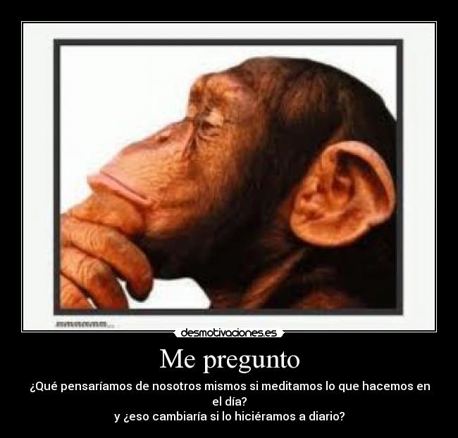 carteles preguntas incomprensibles desmotivaciones