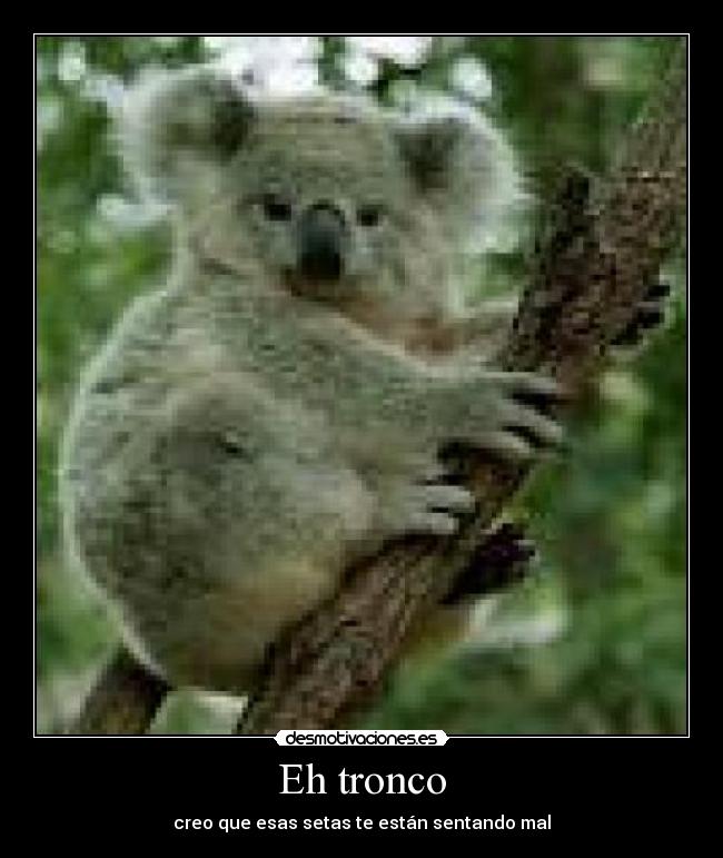 Eh tronco - creo que esas setas te están sentando mal