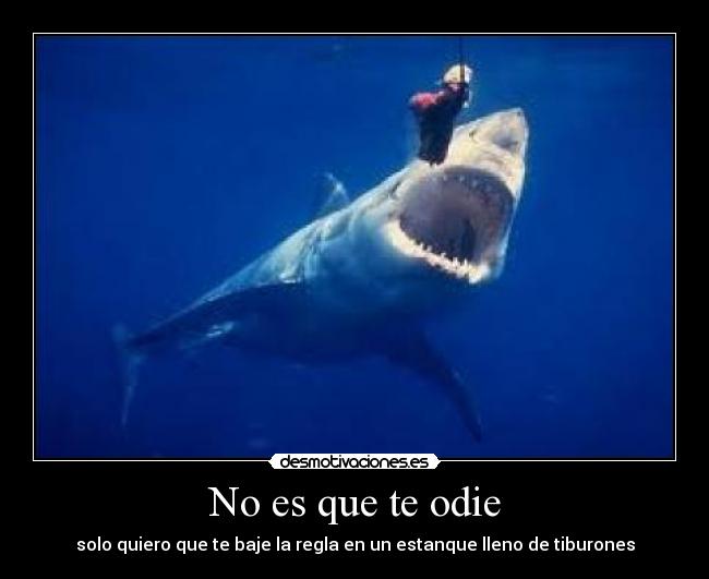 No es que te odie - solo quiero que te baje la regla en un estanque lleno de tiburones