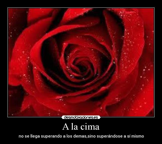 A la cima - no se llega superando a los demas,sino superándose a sí mismo