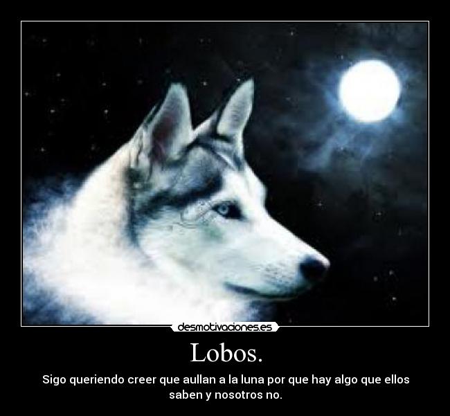 Lobos. - Sigo queriendo creer que aullan a la luna por que hay algo que ellos
saben y nosotros no.