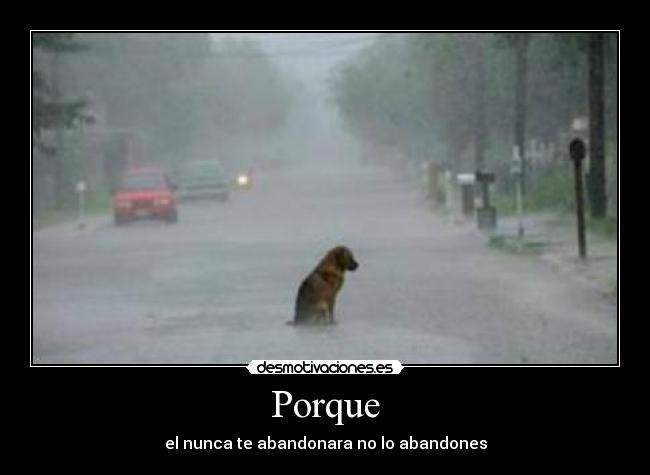 Porque - el nunca te abandonara no lo abandones