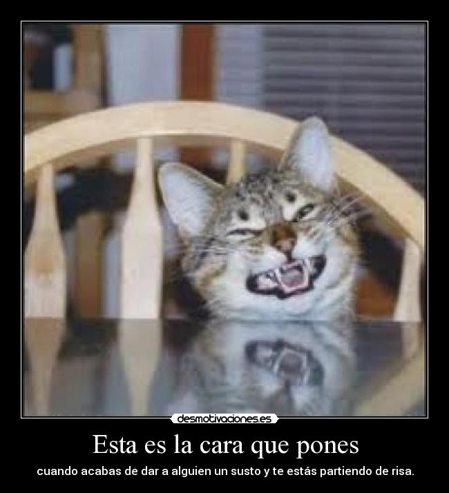 Esta es la cara que pones -